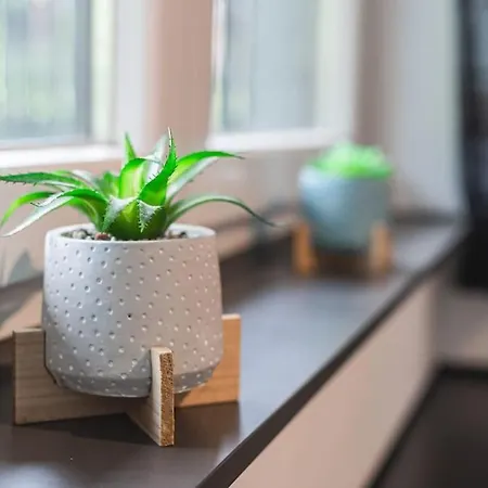 Les Figuiers - De Standing Avec 2 * Andenne